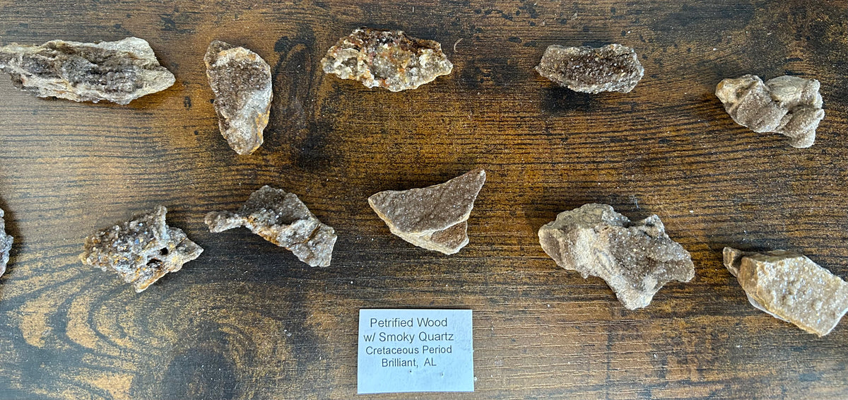 Petrified Wood with Smokey Quartz