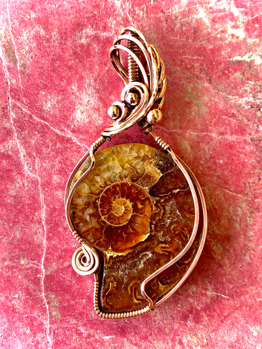 Ammonite Fossil Wire Wrapped in Copper